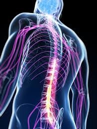 Relieve Lumbar Spine Pain  Spine Correction Center of the Rockies